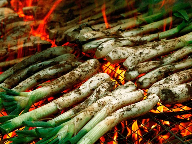 web calçots